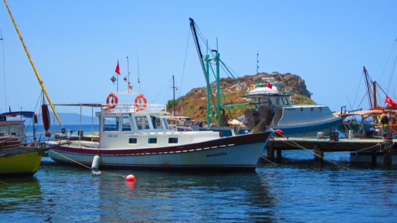 Satılık Bodrum Köyü (Tamamı, Bütün)